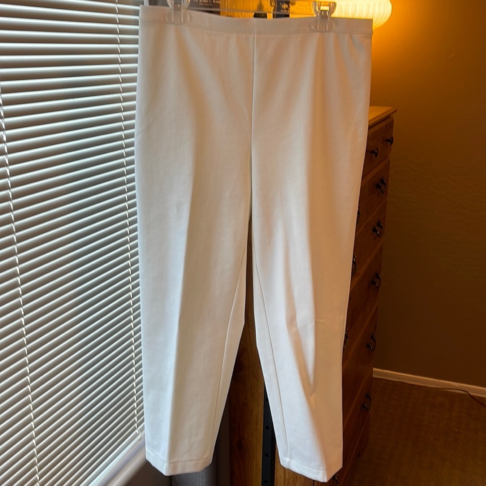 Very Nice Draper’s & Damons Slacks